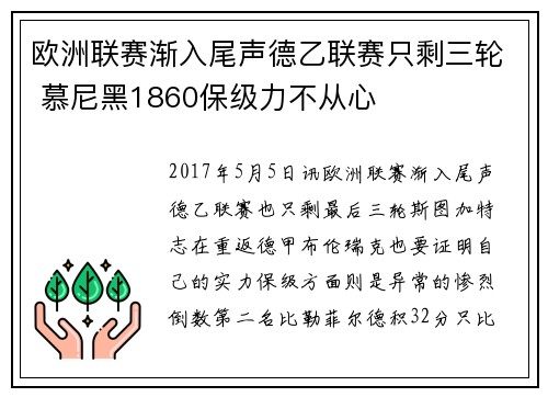 欧洲联赛渐入尾声德乙联赛只剩三轮 慕尼黑1860保级力不从心